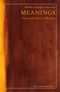 Meanings (paperback) - cover